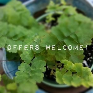 Please read! Reasonable offers are welcome!